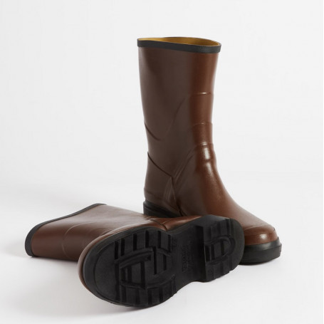 Bottillons Bison 2 Femme Aigle