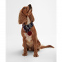 Echarpe pour chien Case Fairisle Barbour