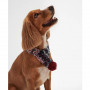 Echarpe pour chien Case Fairisle Barbour