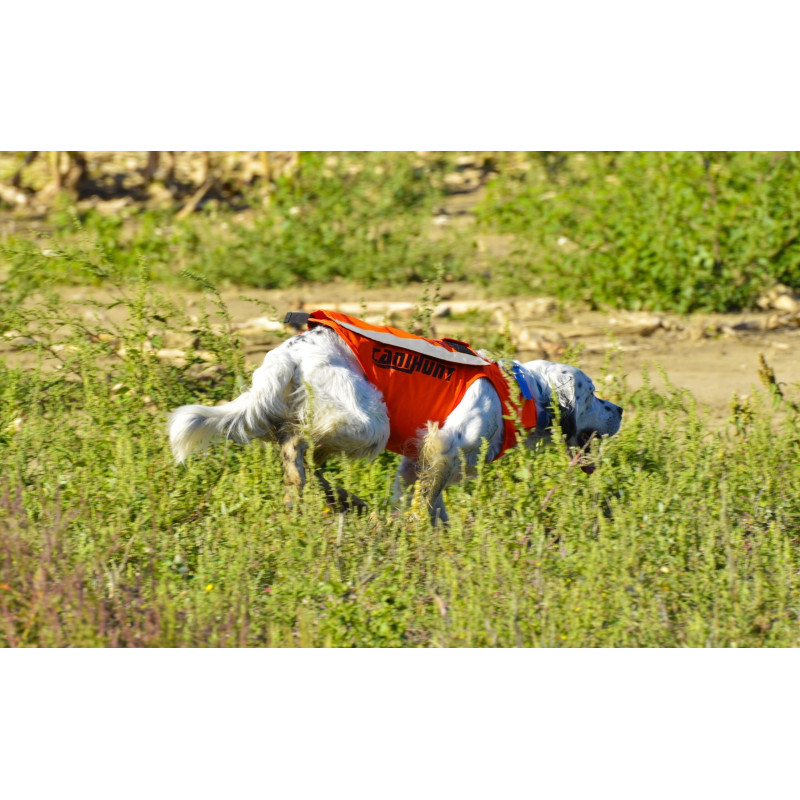 Gilet de Signalisation FLASH V3 Canihunt