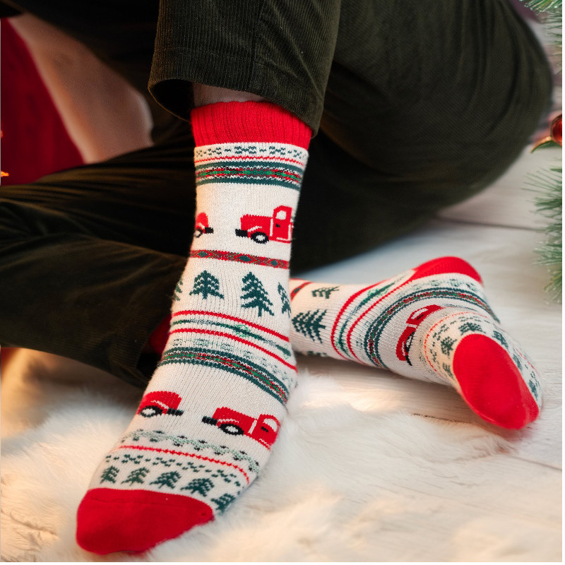Chaussettes Anders Polar Star