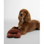 Jouet pour chien Barbour
