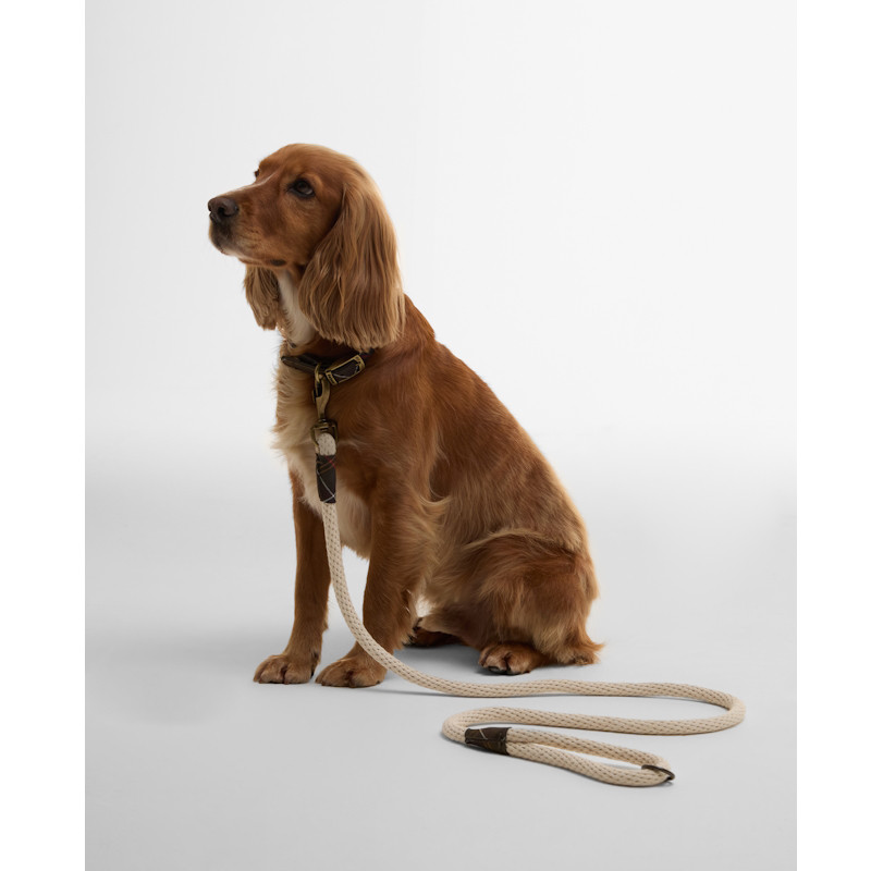Laisse en coton pour chien Barbour