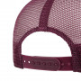 Casquette Great Plains Trucker Stetson