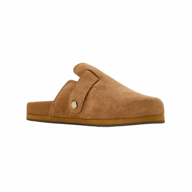 muiltjes Country Femme Ariat