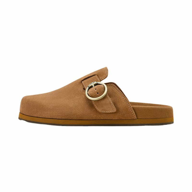 muiltjes Country Femme Ariat