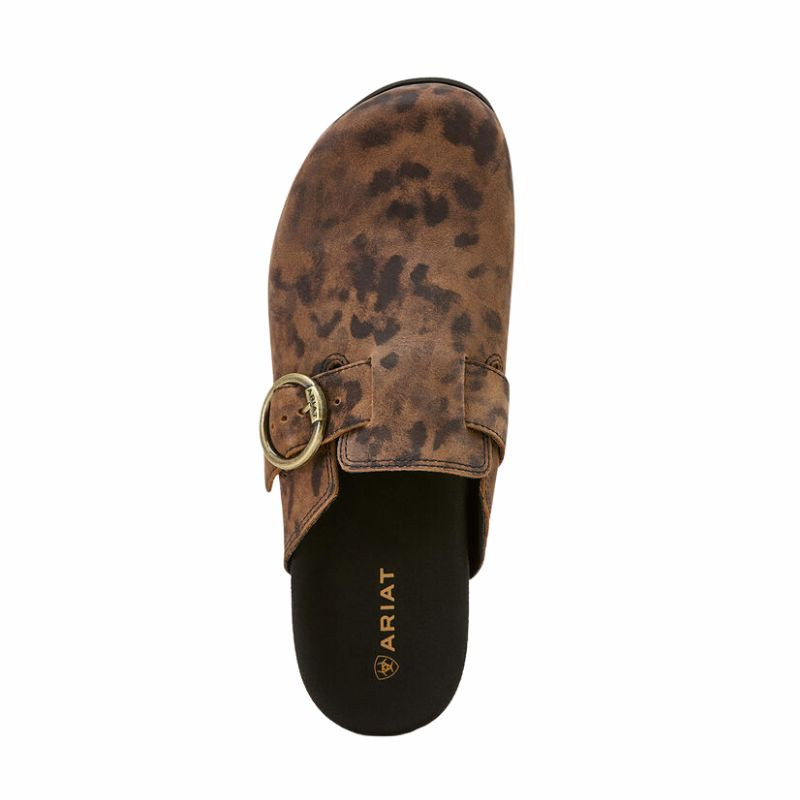 muiltjes Country Femme Ariat
