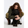 Veste Sherwood Femme Dubarry