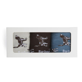 Coffret chaussettes chiens Pointer Barbour
