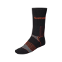 Pack 2 paire de Chaussettes Field Coolmax Seeland