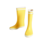 Bottes Malouine 2 Femme Aigle
