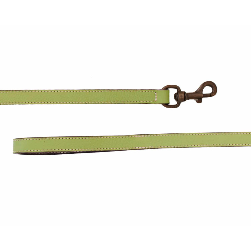 Laisse Cuir 120cm Alexandre Mareuil