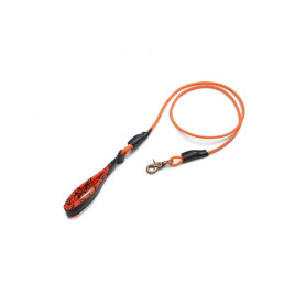 Laisses et colliers pour chien