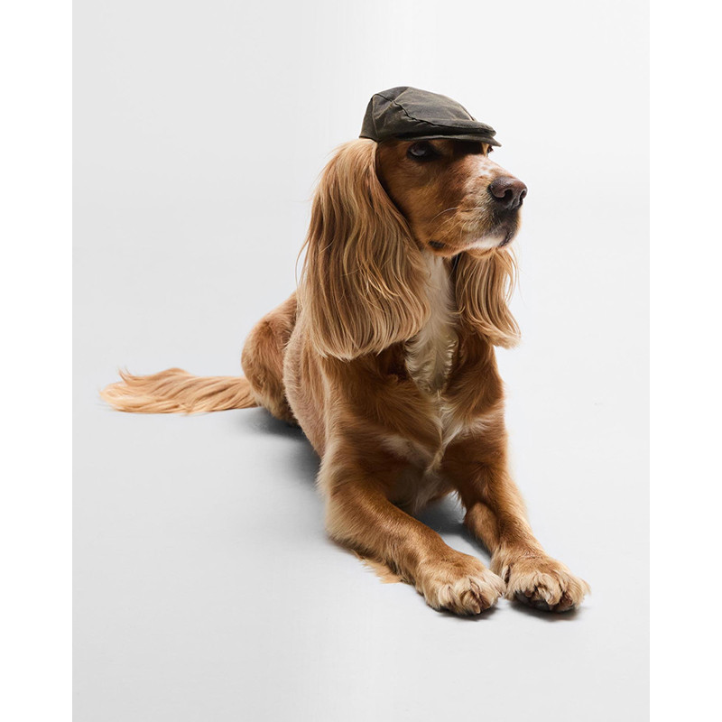Casquette huilée pour chien Barbour