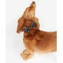Noeud papillon pour chien Tartan Barbour
