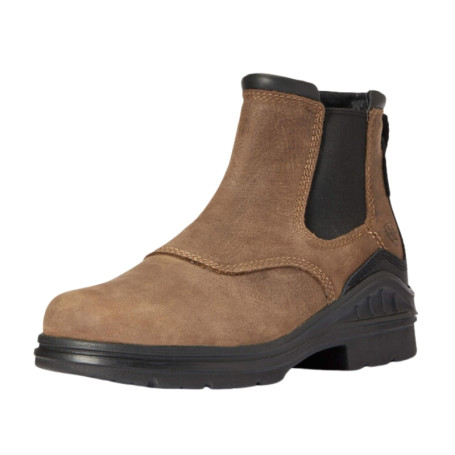 Boots Barnyard Chelsea Femme Ariat
