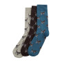 Coffret chaussettes chiens Pointer Barbour