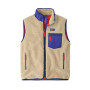 Gilet Classic Retro-X Patagonia