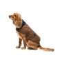Manteau pour chien coton huilé doublure tartan Barbour