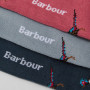 Coffret chaussettes faisans Barbour