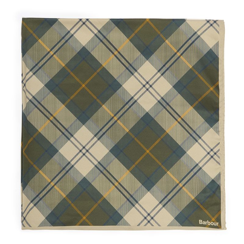 Foulard Kinsale Femme Barbour