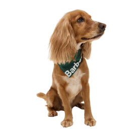 Accessoires chien Barbour