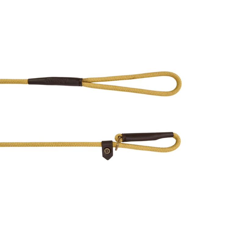 Laisse pour chien en nylon Marley Dubarry