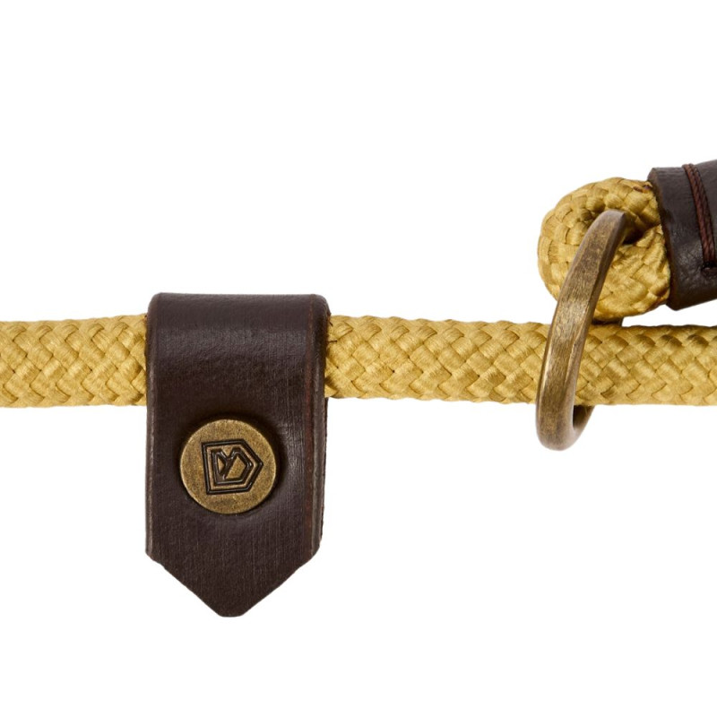 Laisse pour chien en nylon Marley Dubarry