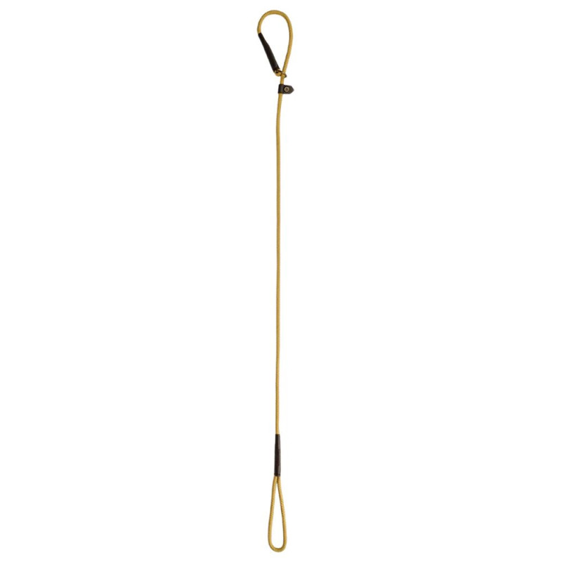 Laisse pour chien en nylon Marley Dubarry