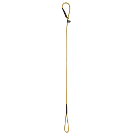 Laisse pour chien en nylon Marley Dubarry