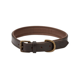 Collier pour chien Axel Dubarry