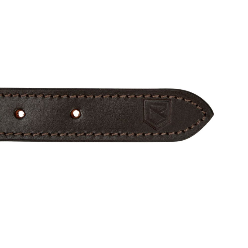Collier pour chien Axel Dubarry