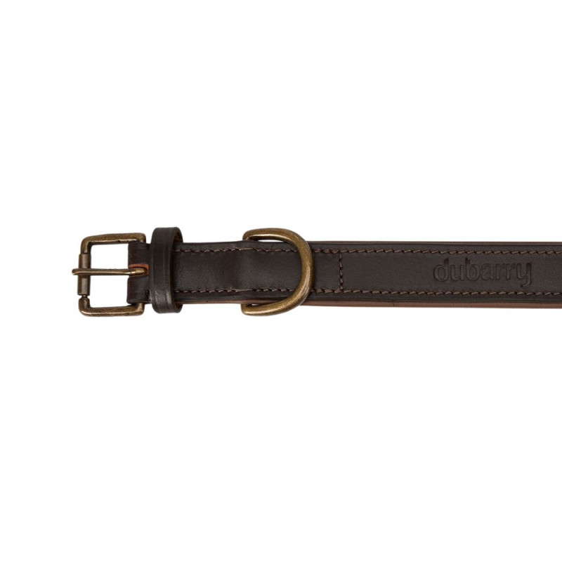 Collier pour chien Axel Dubarry