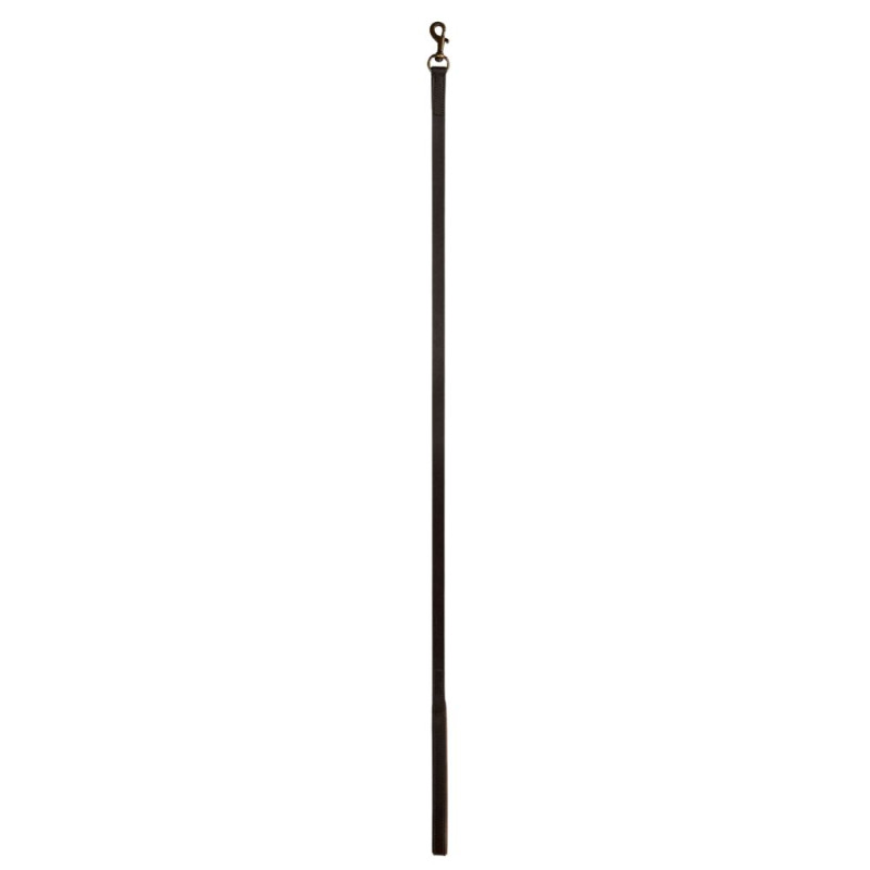 Laisse en cuir pour chien Ranger Dubarry