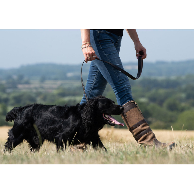 Laisse en cuir pour chien Ranger Dubarry