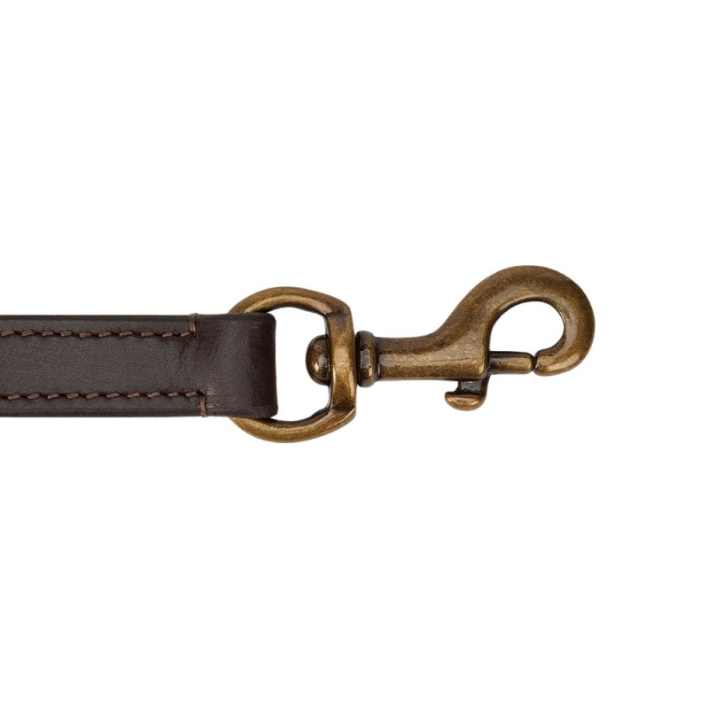 Laisse en cuir pour chien Ranger Dubarry