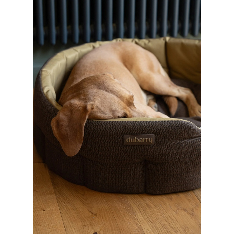 Panier pour chien en tweed Buster Dubarry