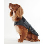 Manteau pour chien matelassé Barbour