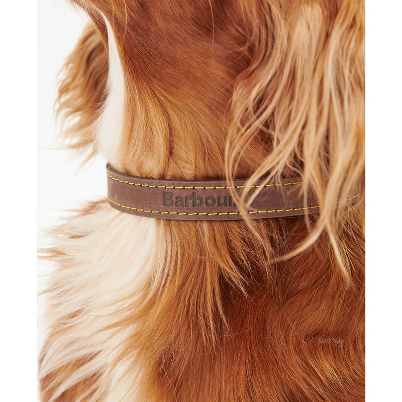 Collier pour chien cuir Barbour