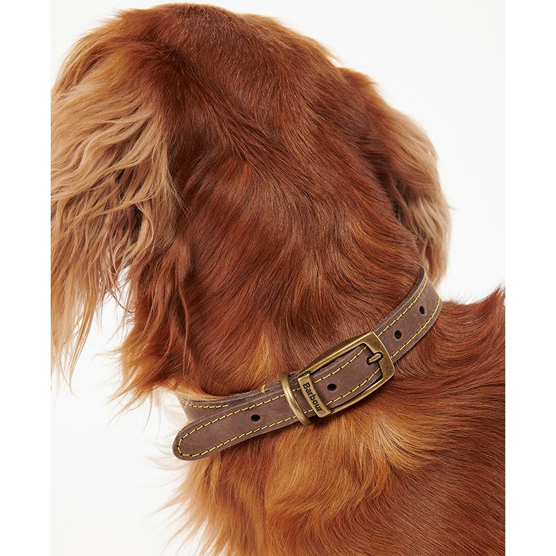 Collier pour chien cuir Barbour