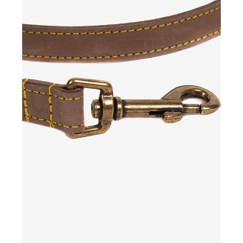 Laisse pour chien cuir Barbour