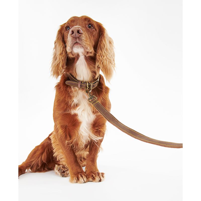Laisse pour chien cuir Barbour