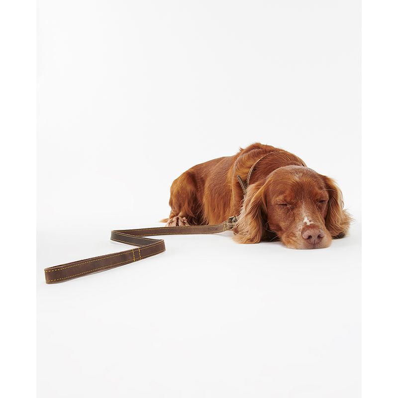 Laisse pour chien cuir Barbour