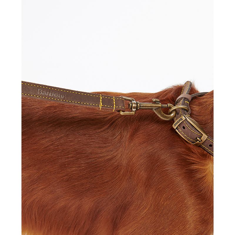 Laisse pour chien cuir Barbour