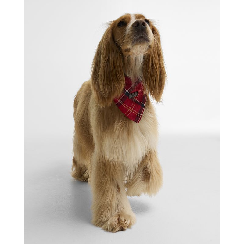 Bandana pour chien Tartan Barbour
