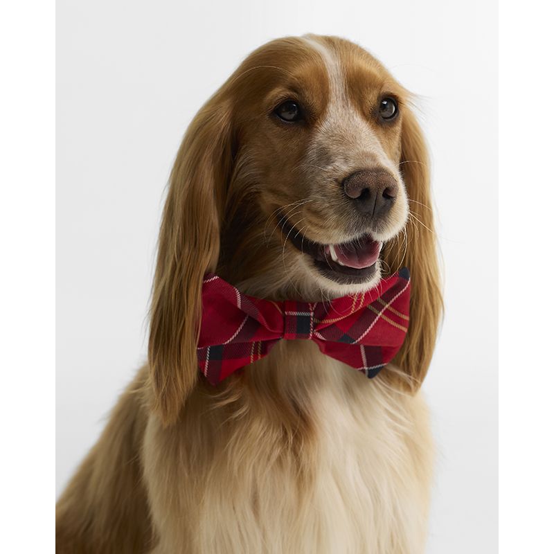 Noeud papillon pour chien Tartan Barbour