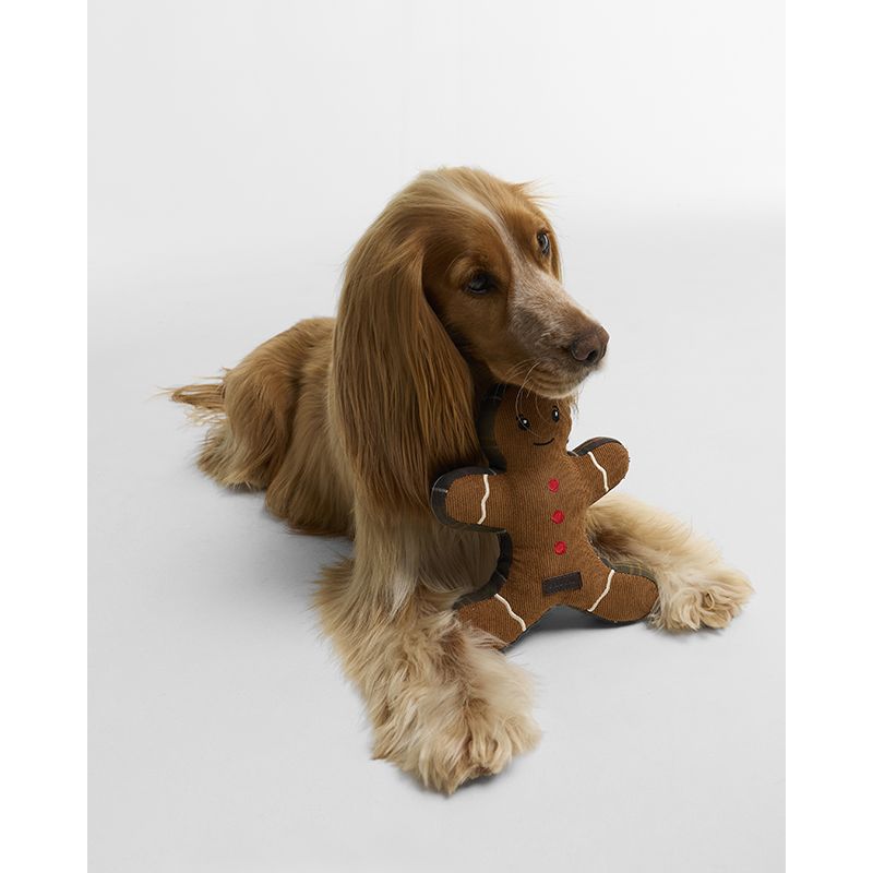 Jouet de Noël pour chien pain d'épices Barbour