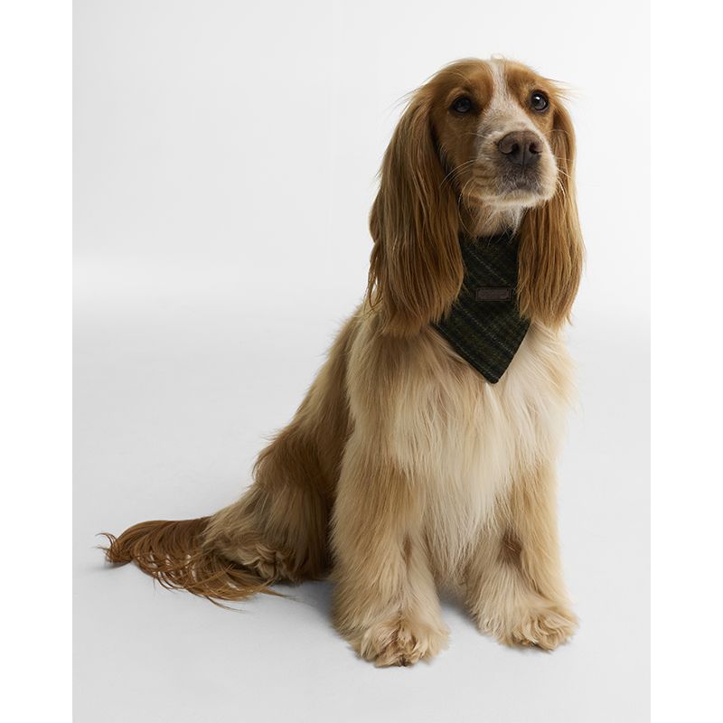 Bandana pour chien Wilkin Barbour