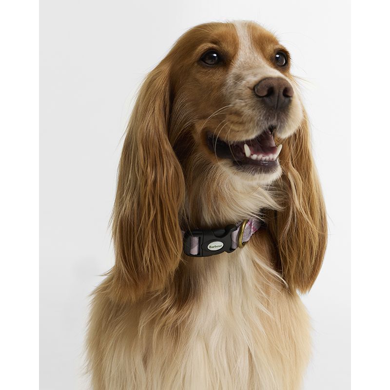 Collier pour chien tartan imprimé Barbour