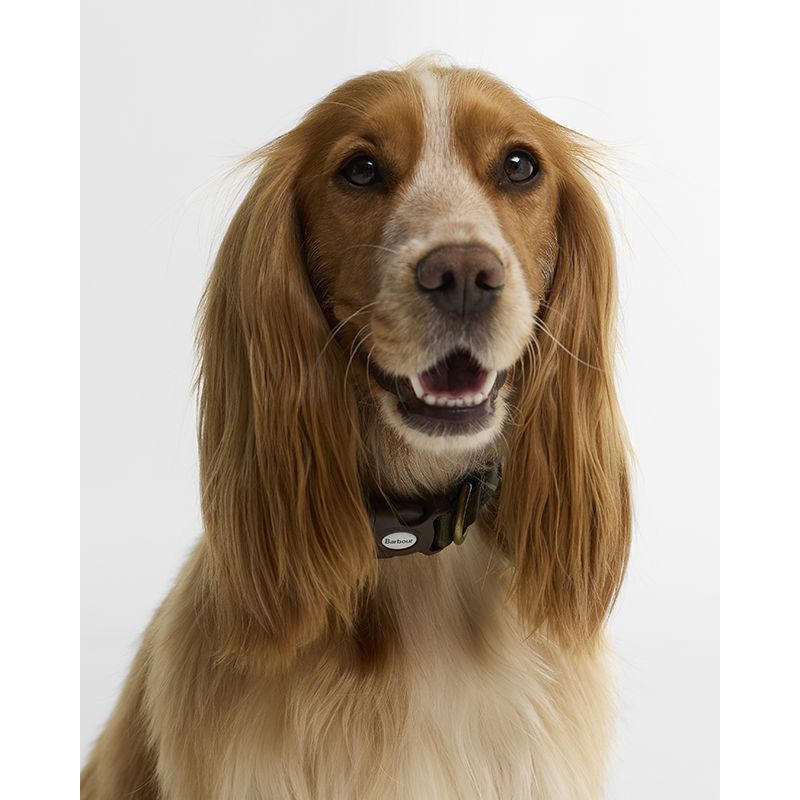 Collier pour chien tartan imprimé Barbour